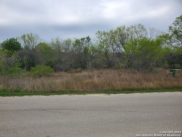 13219 Roundup Pass San Antonio TX 78245