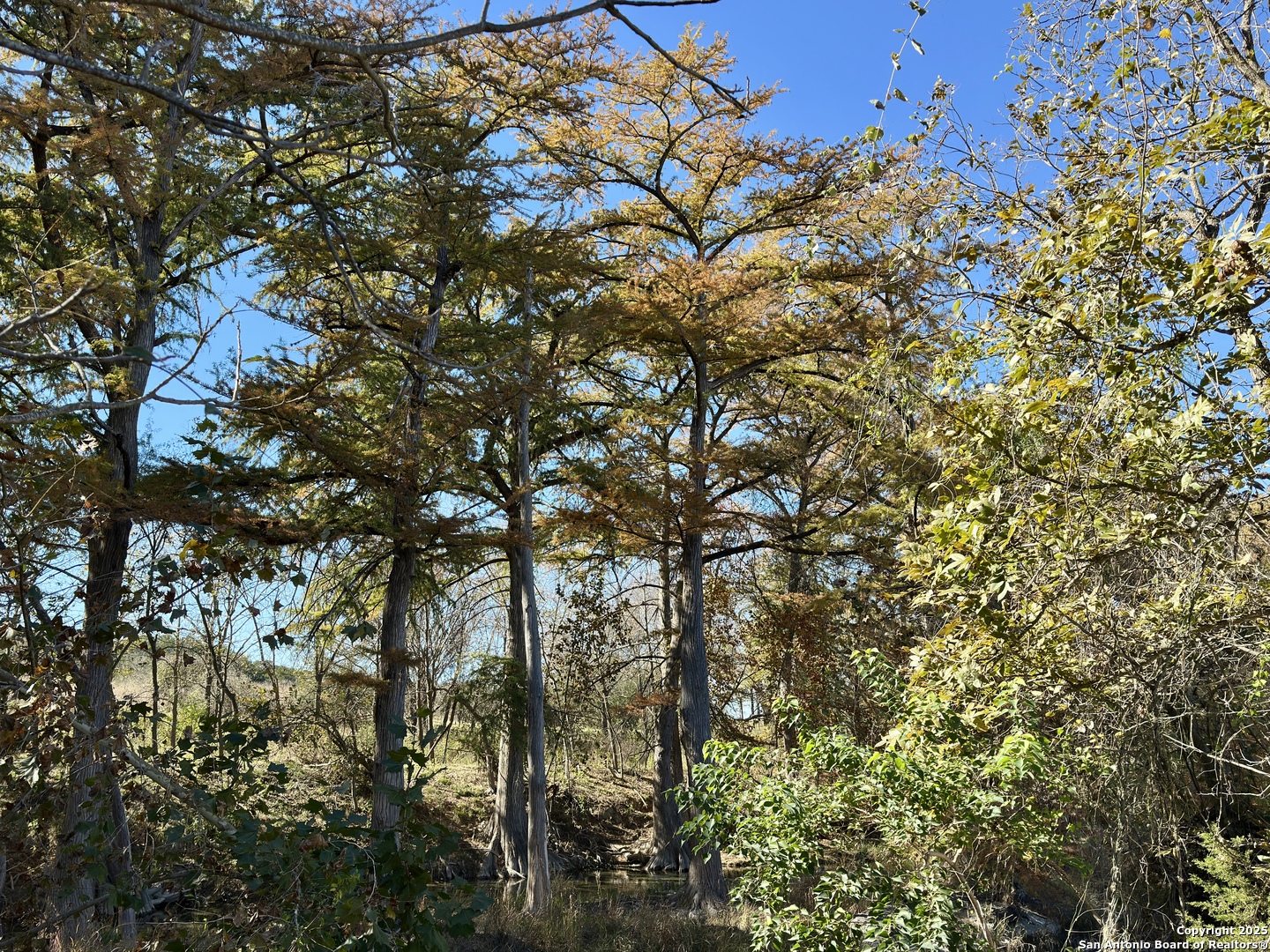 664 River Bend Road Bandera TX 78003