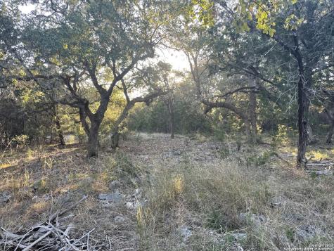 193 Red Tail Cove Spring Branch TX 78070