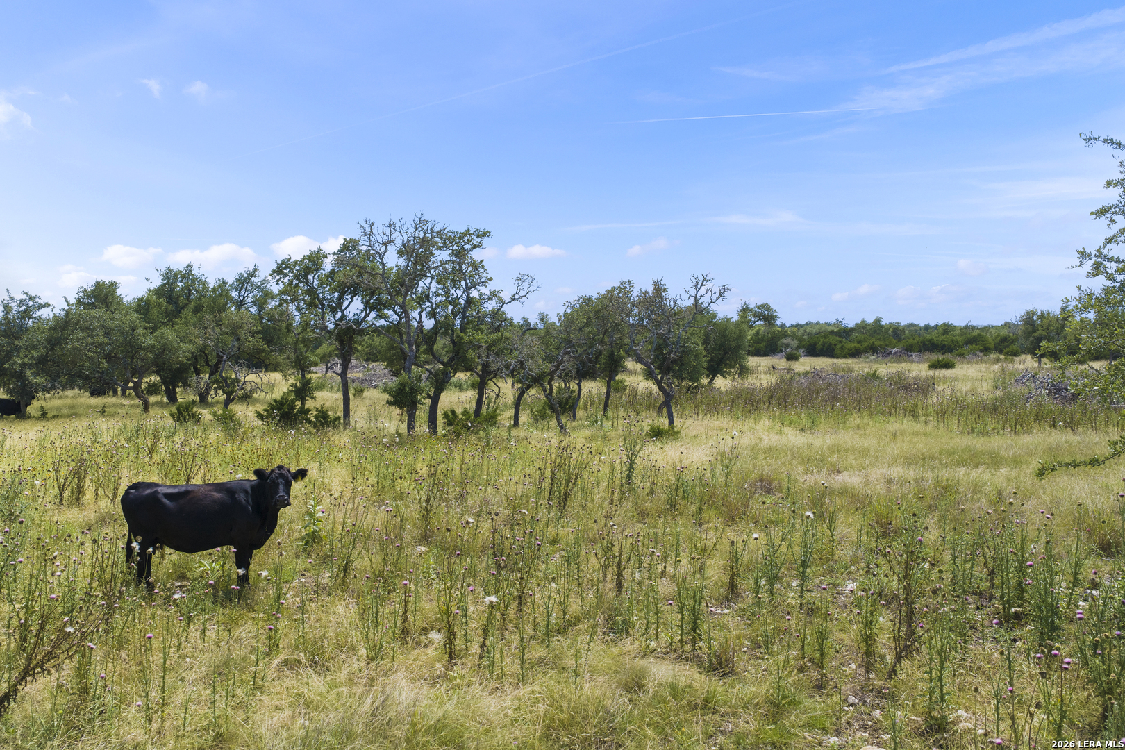 Lot 50 Brooklyn Drive NW Mountain Home TX 78058