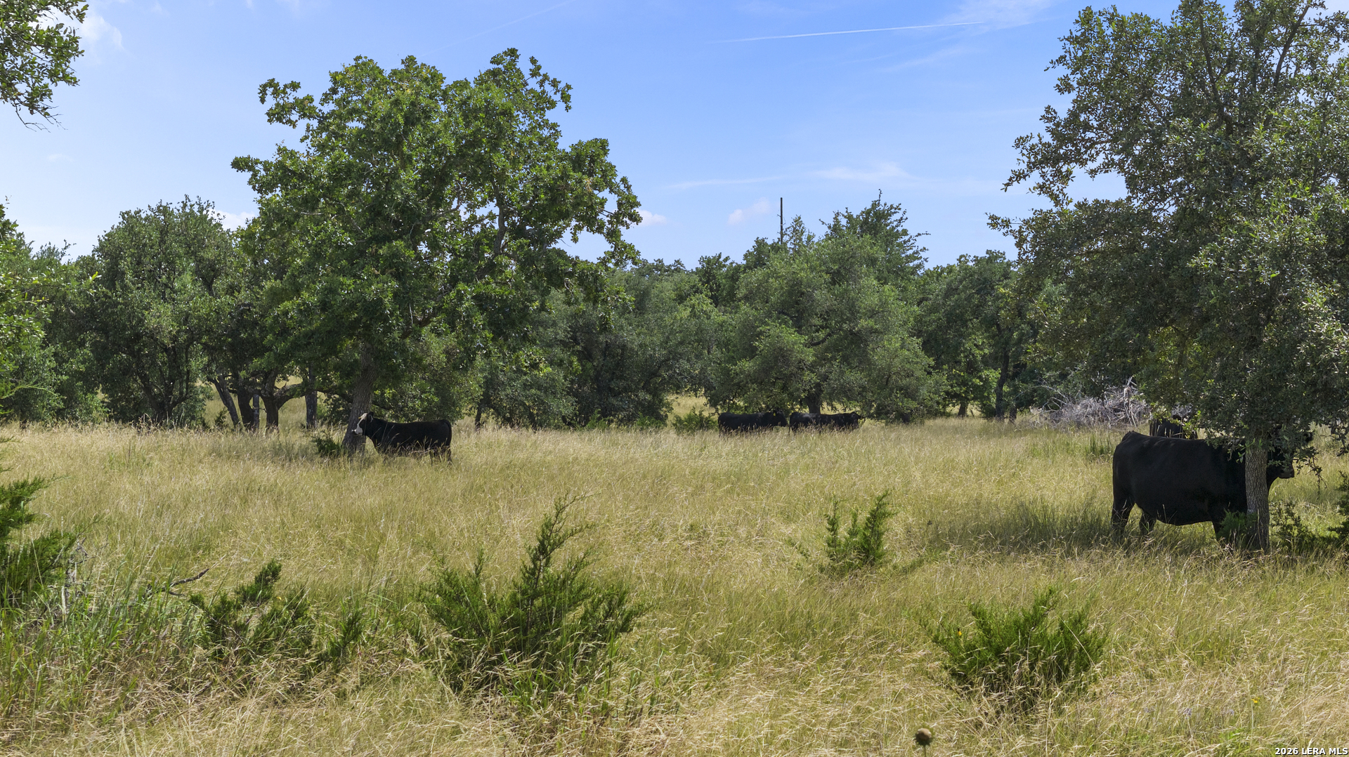 Lot 50 Brooklyn Drive NW Mountain Home TX 78058