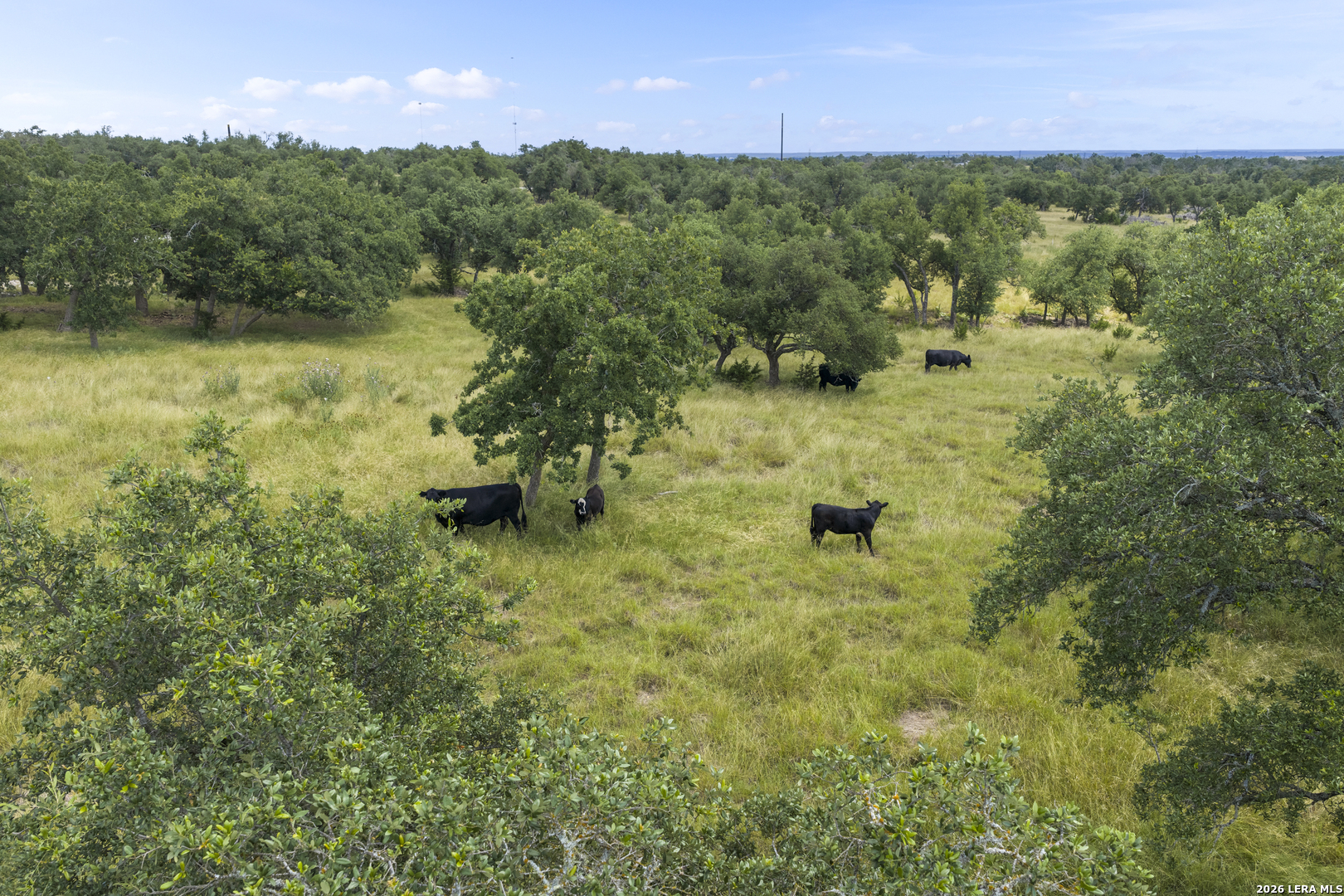 Lot 50 Brooklyn Drive NW Mountain Home TX 78058