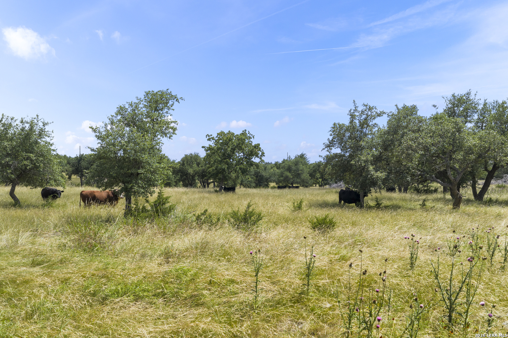 Lot 50 Brooklyn Drive NW Mountain Home TX 78058