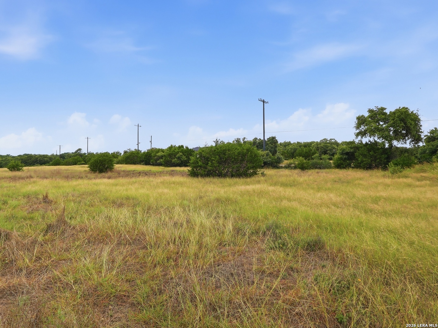 420 George Dolson Blanco TX 78606