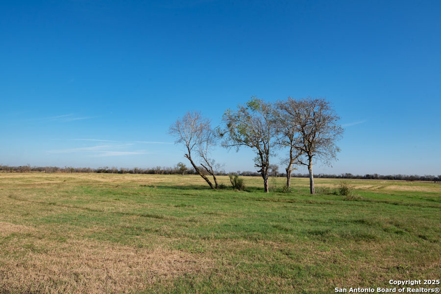 2464 Bolton Marion TX 78124