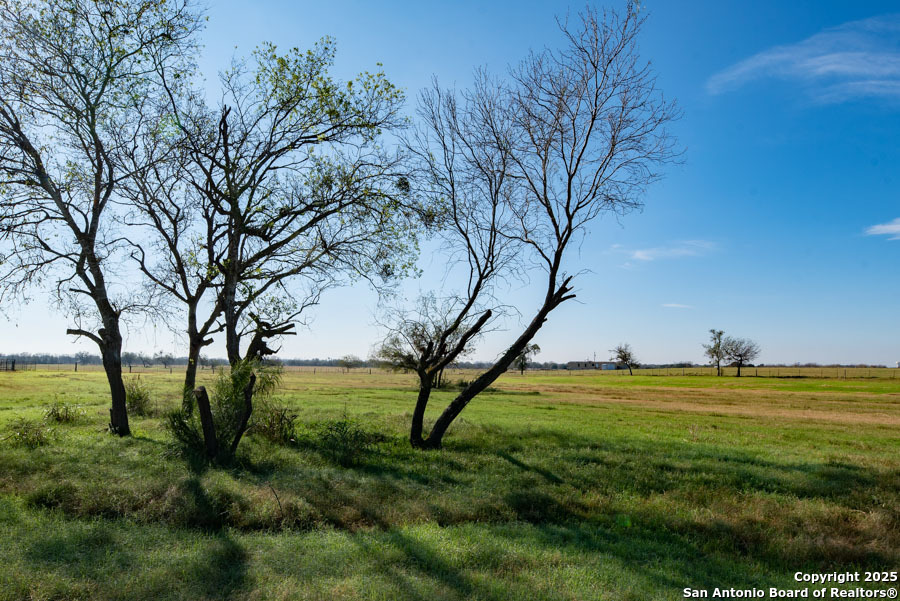 2464 Bolton Marion TX 78124