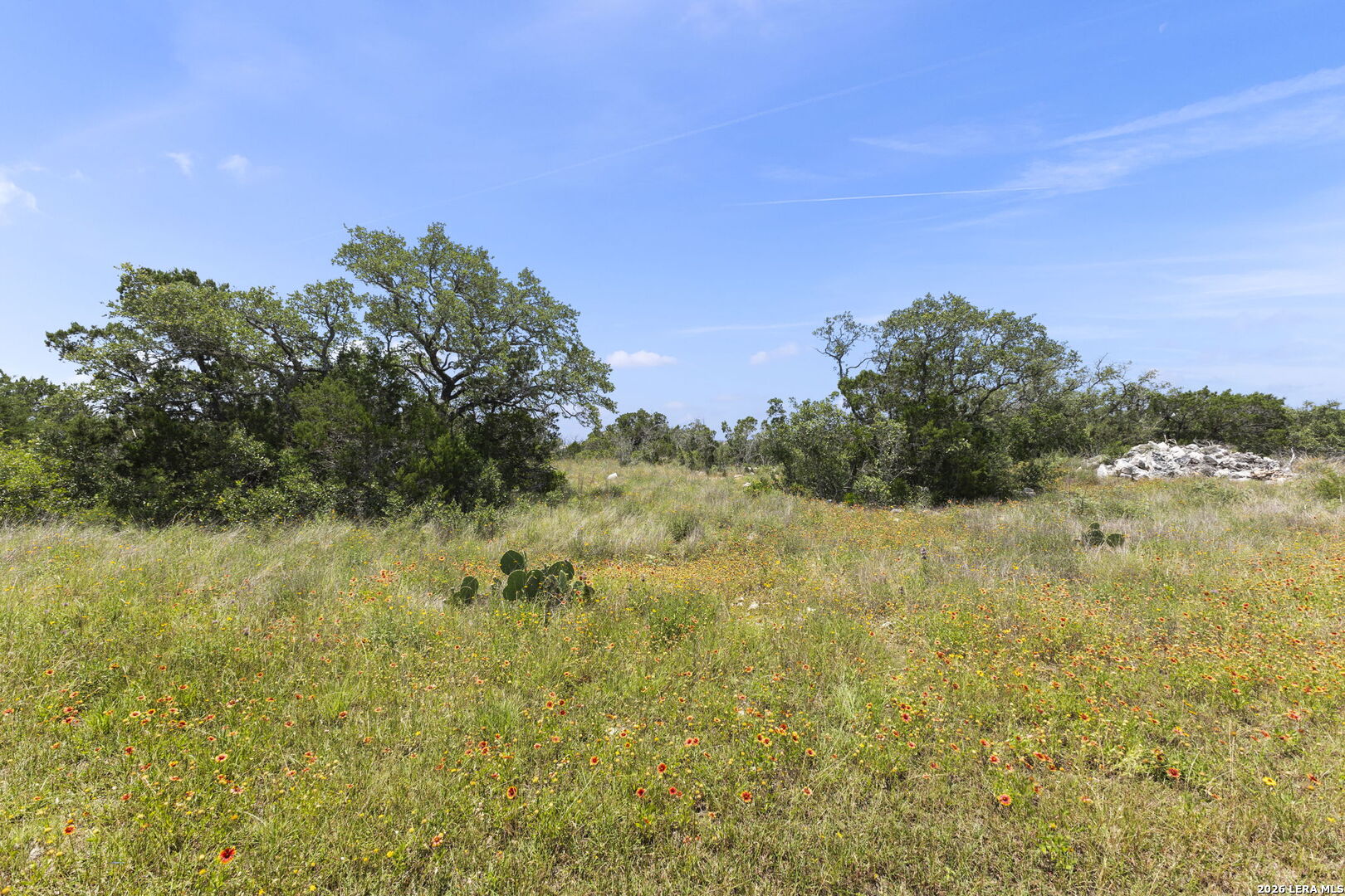 405 County Road 2744 Mico TX 78056