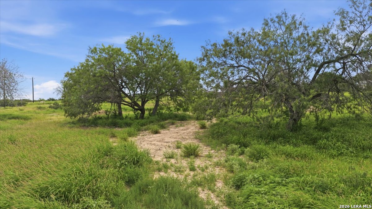 3187 Highway 72 Three Rivers TX 78071