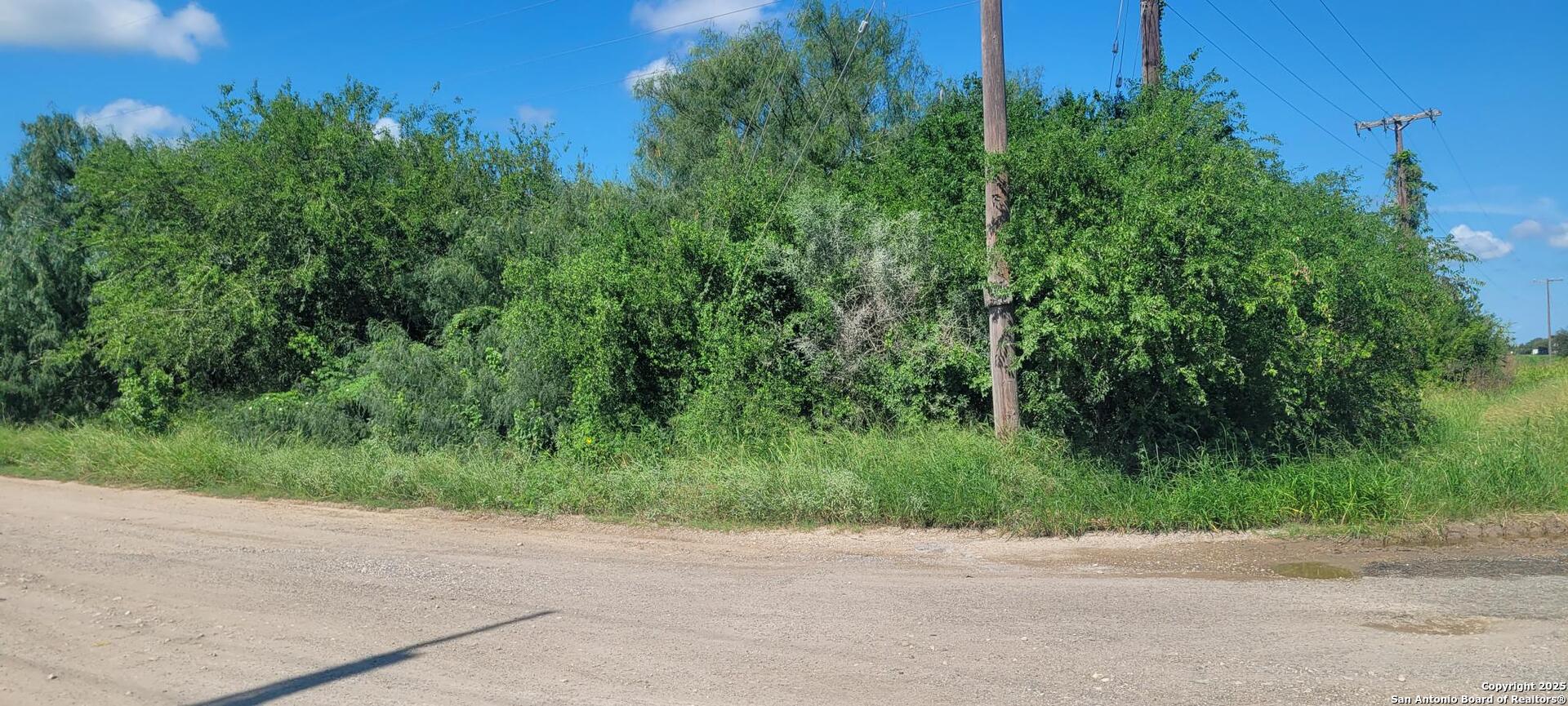 1 Jim Bowie San Benito TX 78586