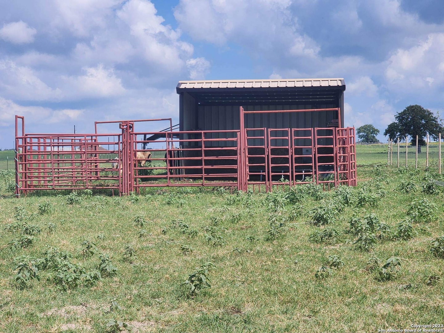 1208 County Road 317 La Vernia TX 78121