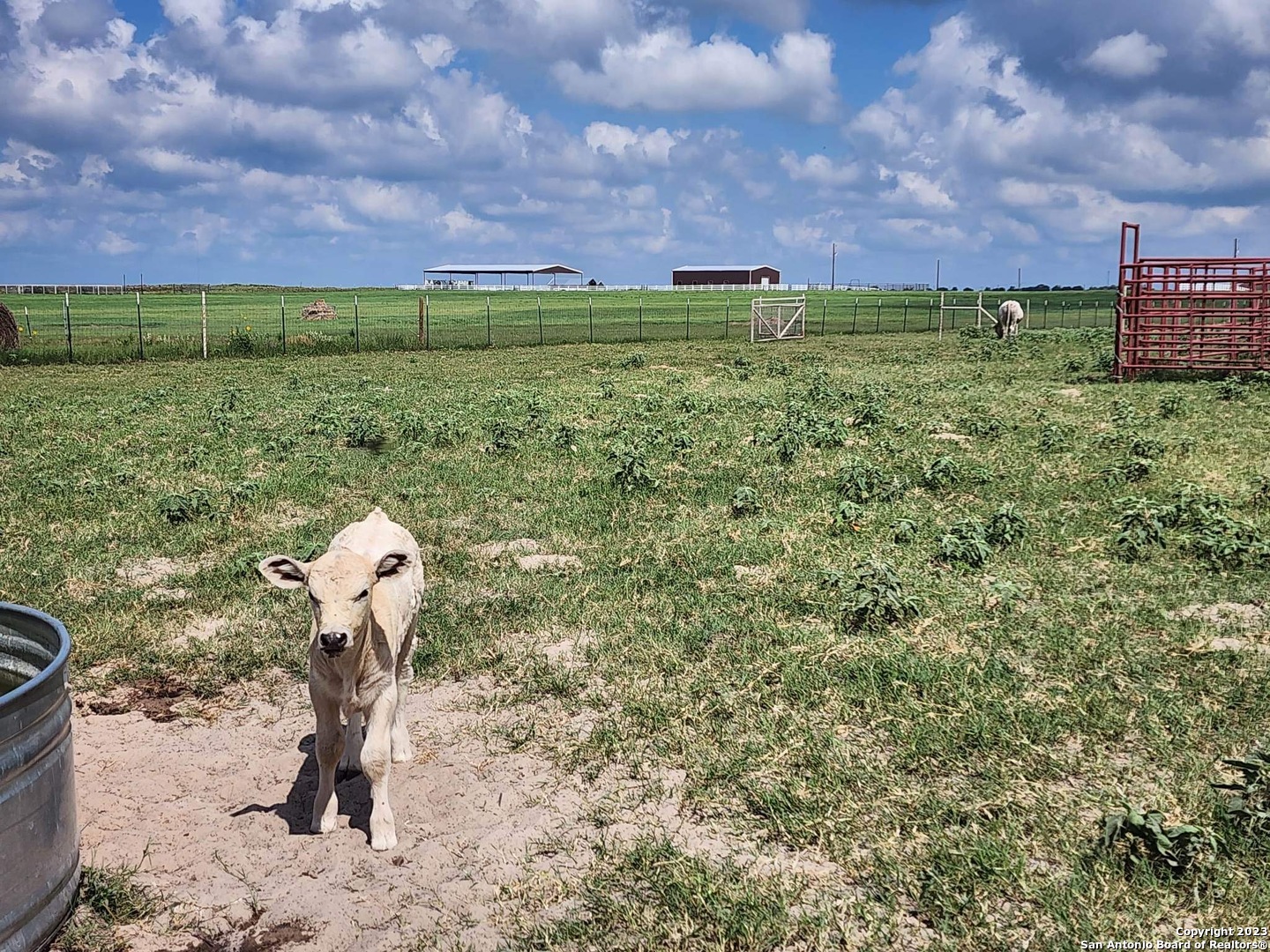 1208 County Road 317 La Vernia TX 78121