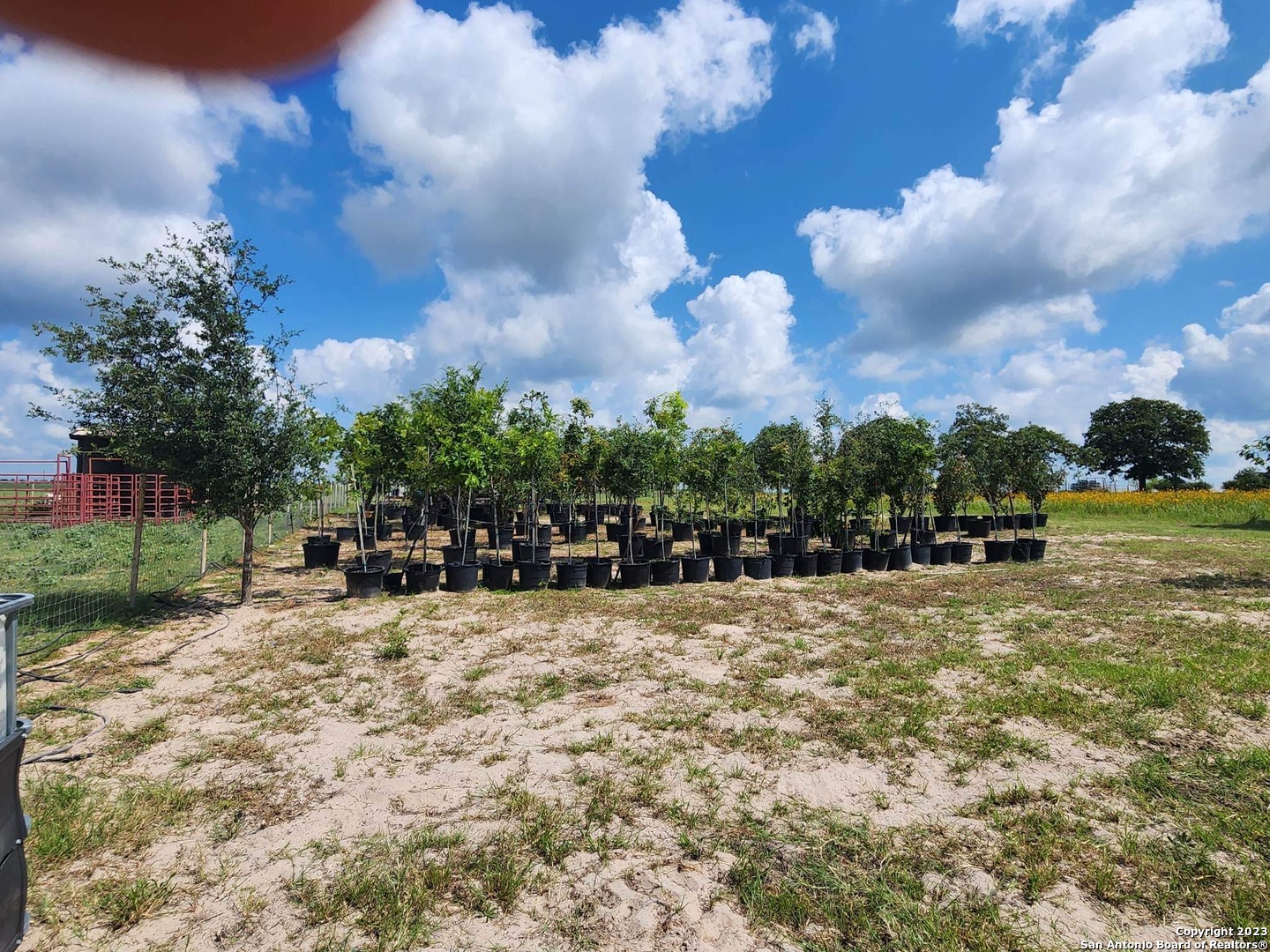 1208 County Road 317 La Vernia TX 78121