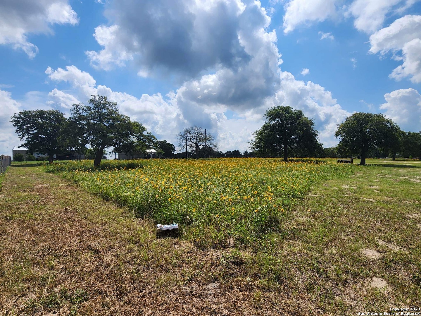 1208 County Road 317 La Vernia TX 78121