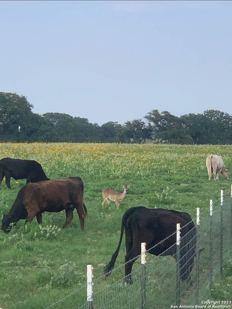 1208 County Road 317 La Vernia TX 78121