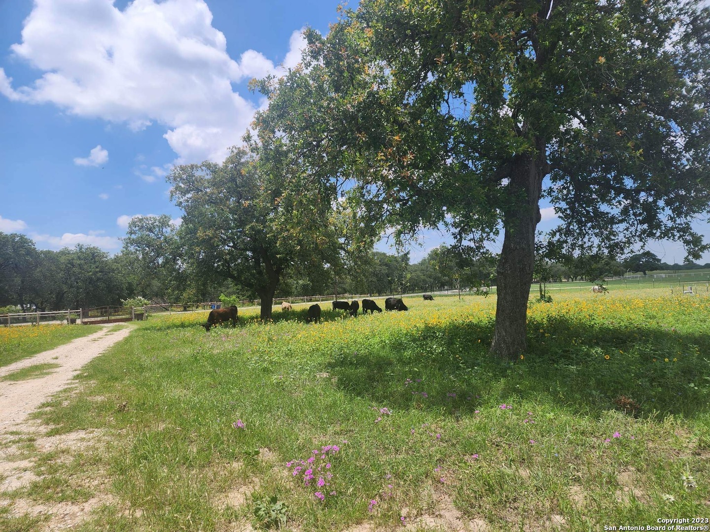 1208 County Road 317 La Vernia TX 78121