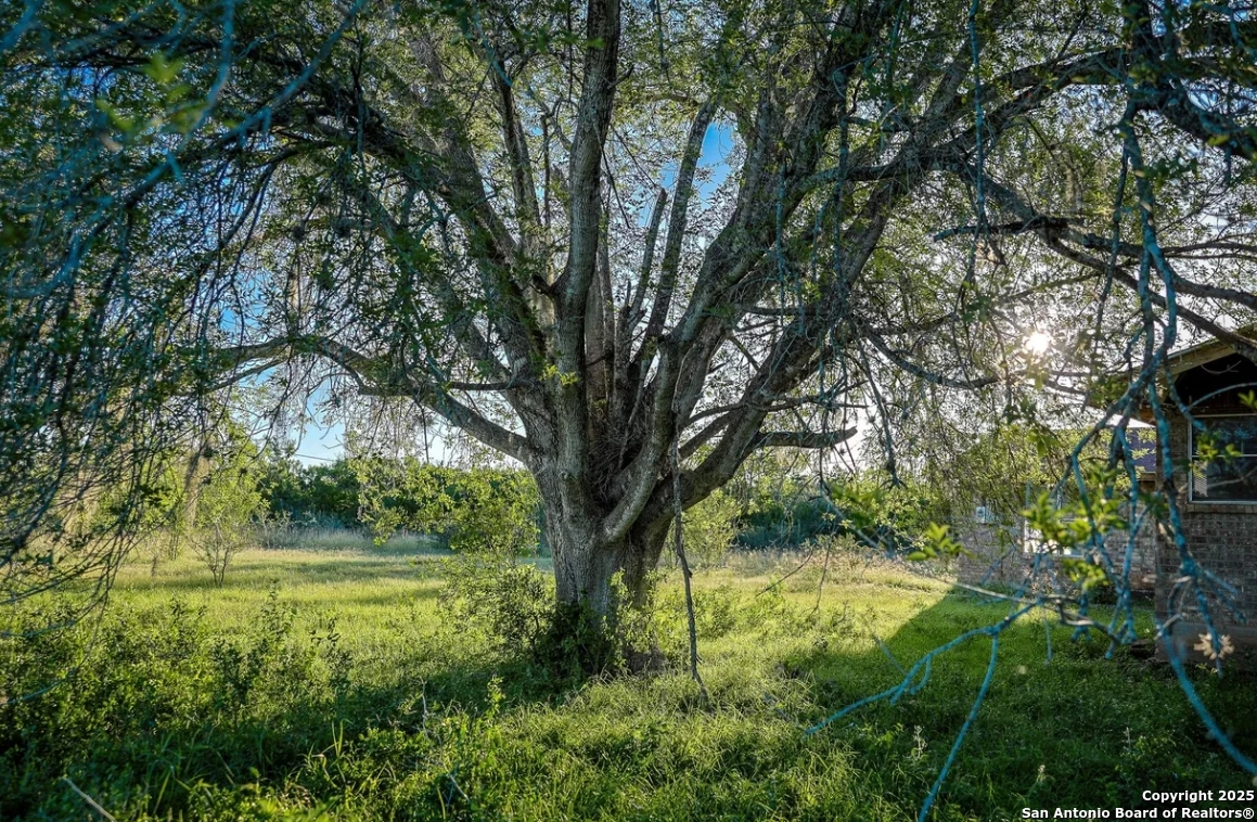 000 County Line Road # 120 Beeville TX 78102