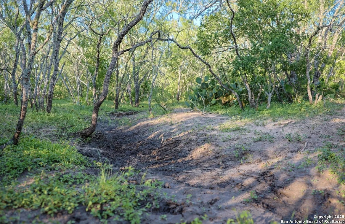 000 County Line Road # 120 Beeville TX 78102