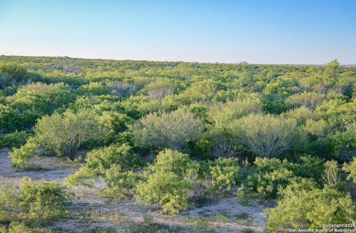 000 County Line Road # 120 Beeville TX 78102