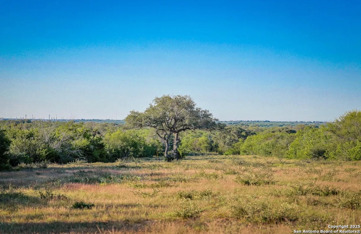 000 County Line Road # 120 Beeville TX 78102
