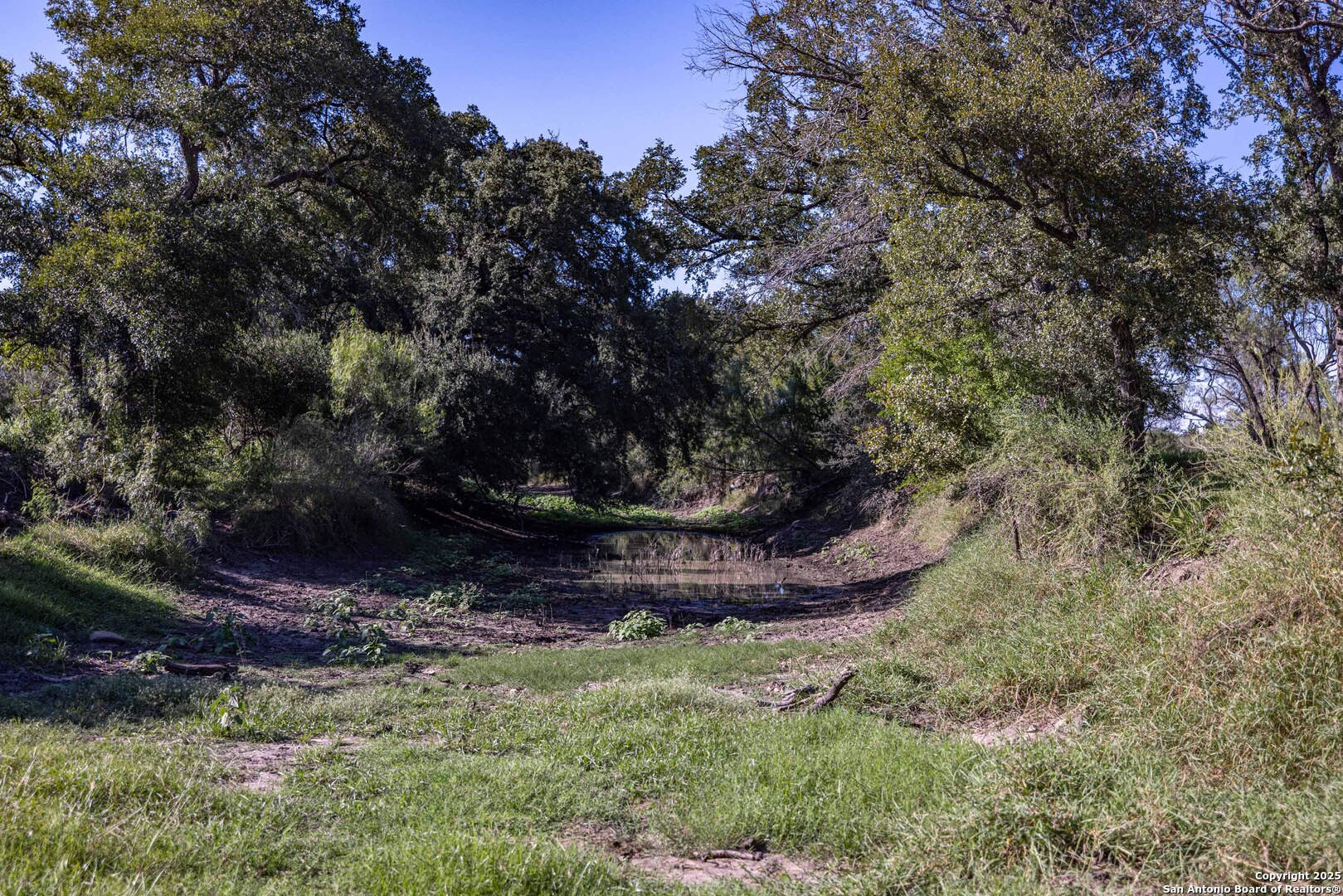 444 County Road 748 Yancey TX 78886