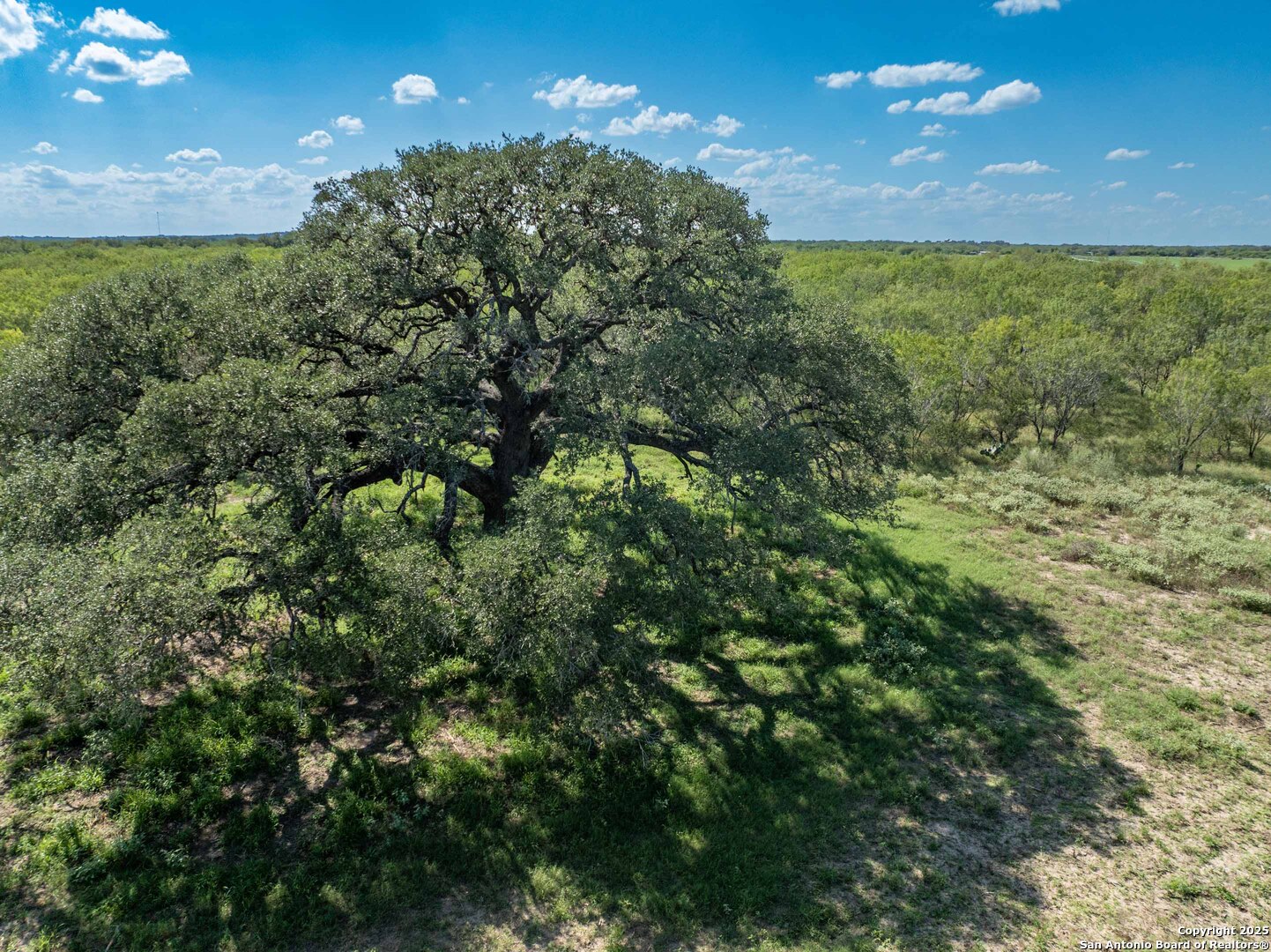 444 County Road 748 Yancey TX 78886
