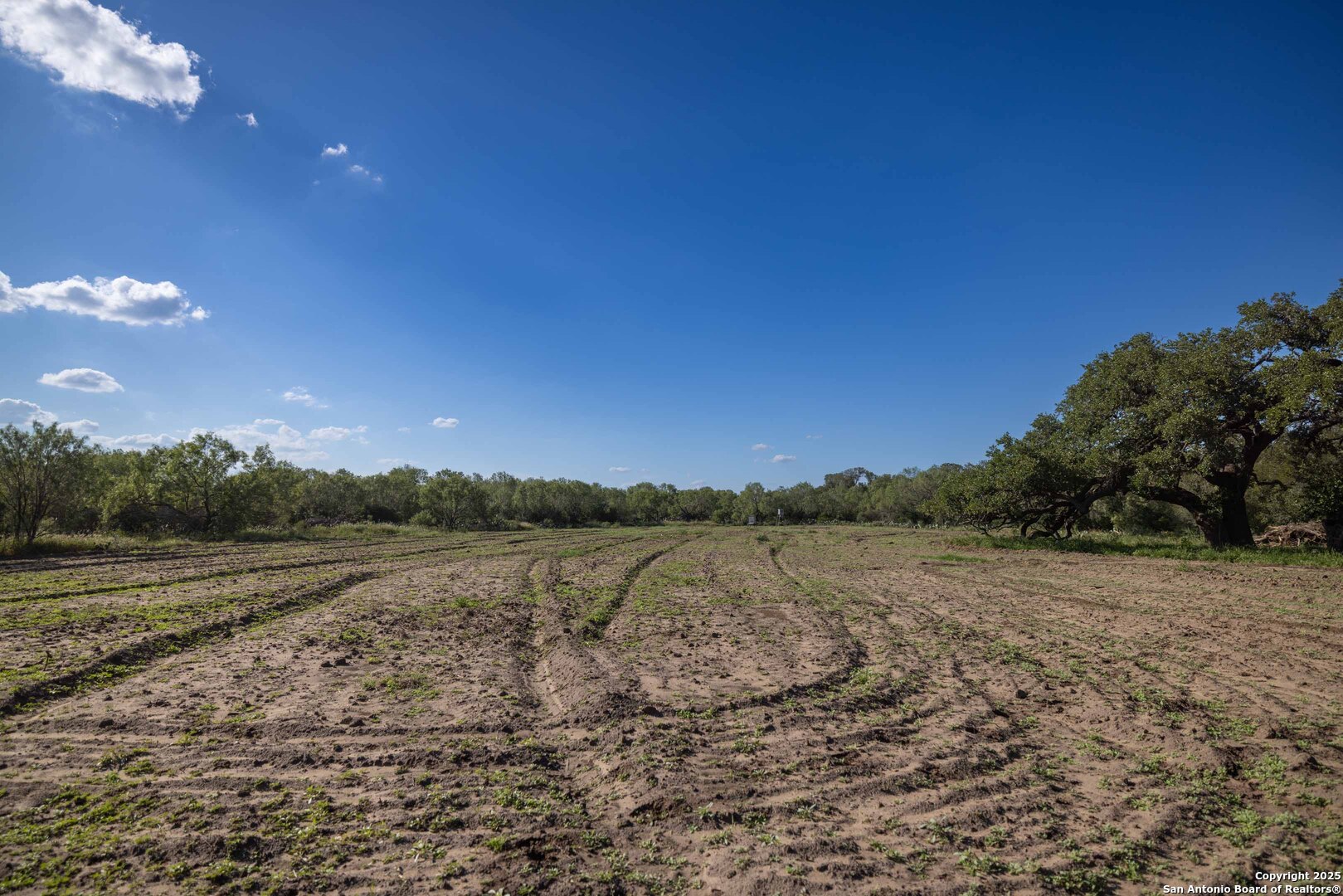 444 County Road 748 Yancey TX 78886