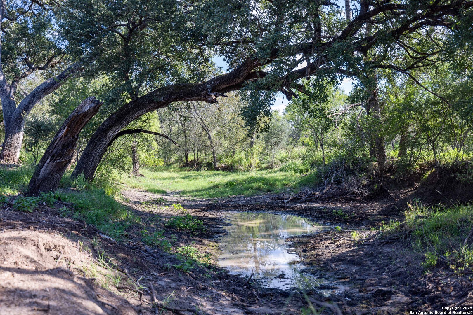 444 County Road 748 Yancey TX 78886