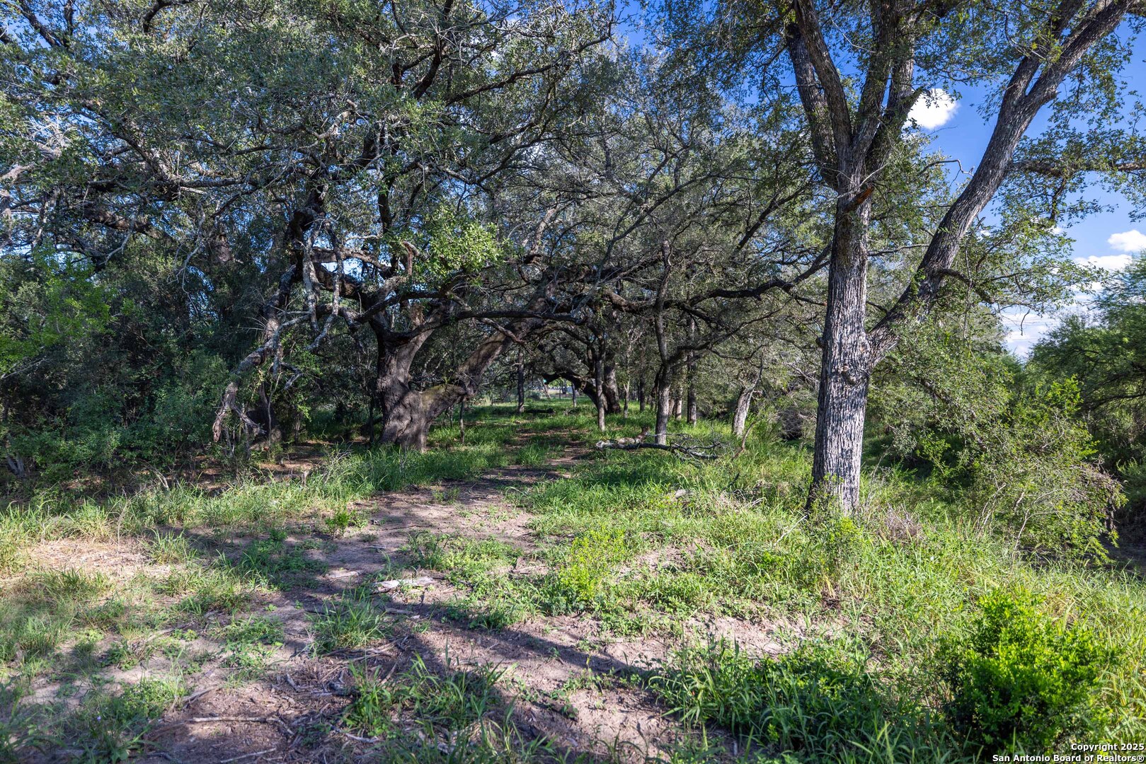 444 County Road 748 Yancey TX 78886