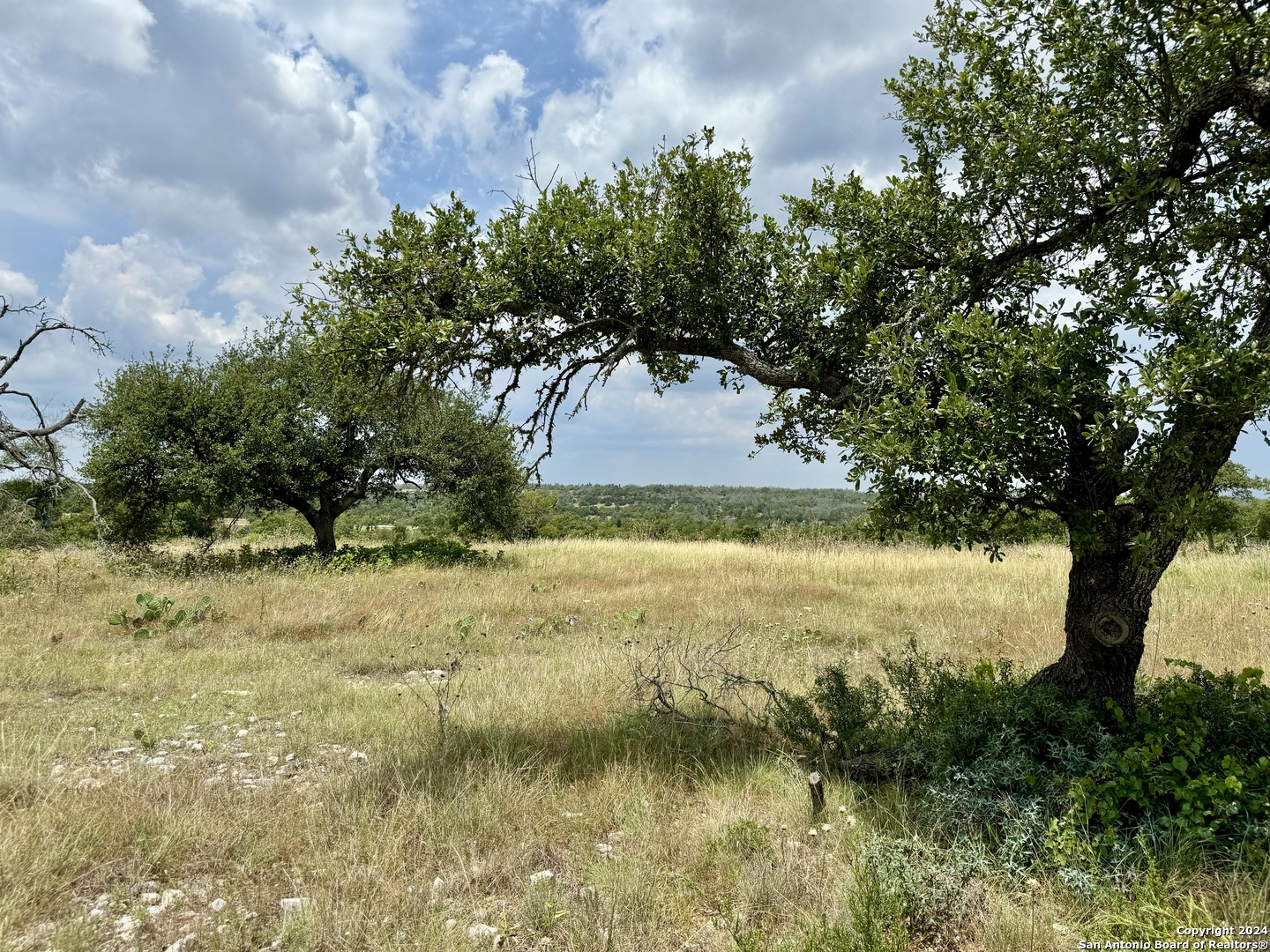 Lot 25 Ridgeline Road Fredericksburg TX 78624