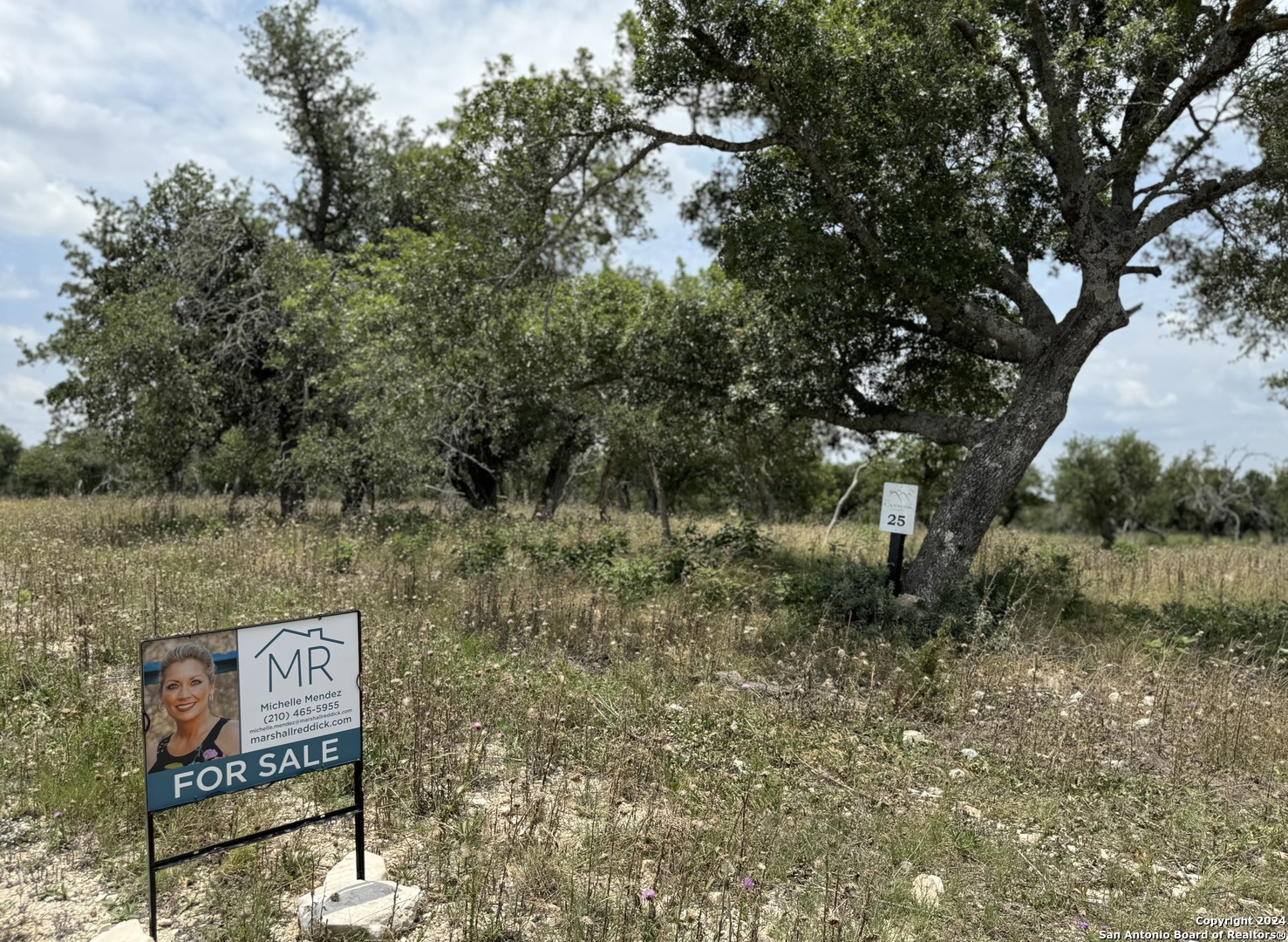 Lot 25 Ridgeline Road Fredericksburg TX 78624