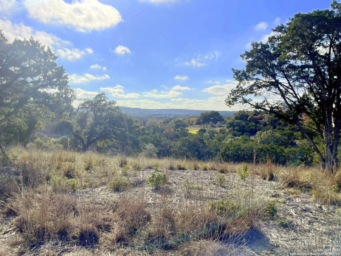 150 Riddle Spring Branch TX 78070