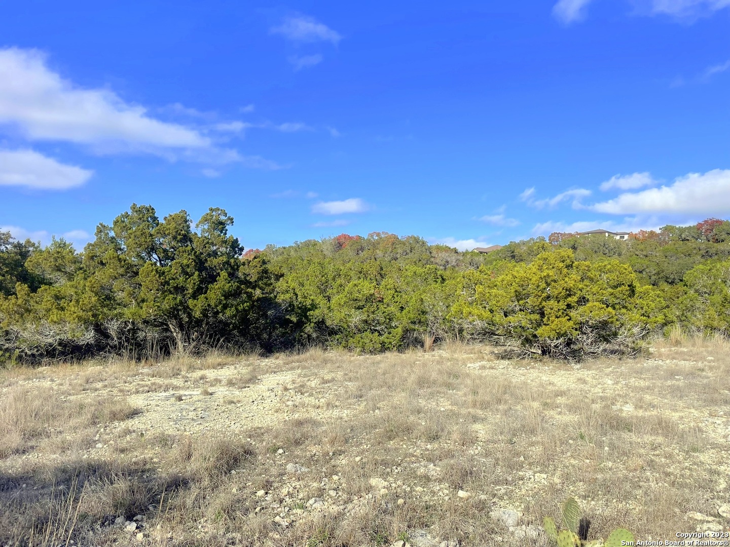 150 Riddle Spring Branch TX 78070