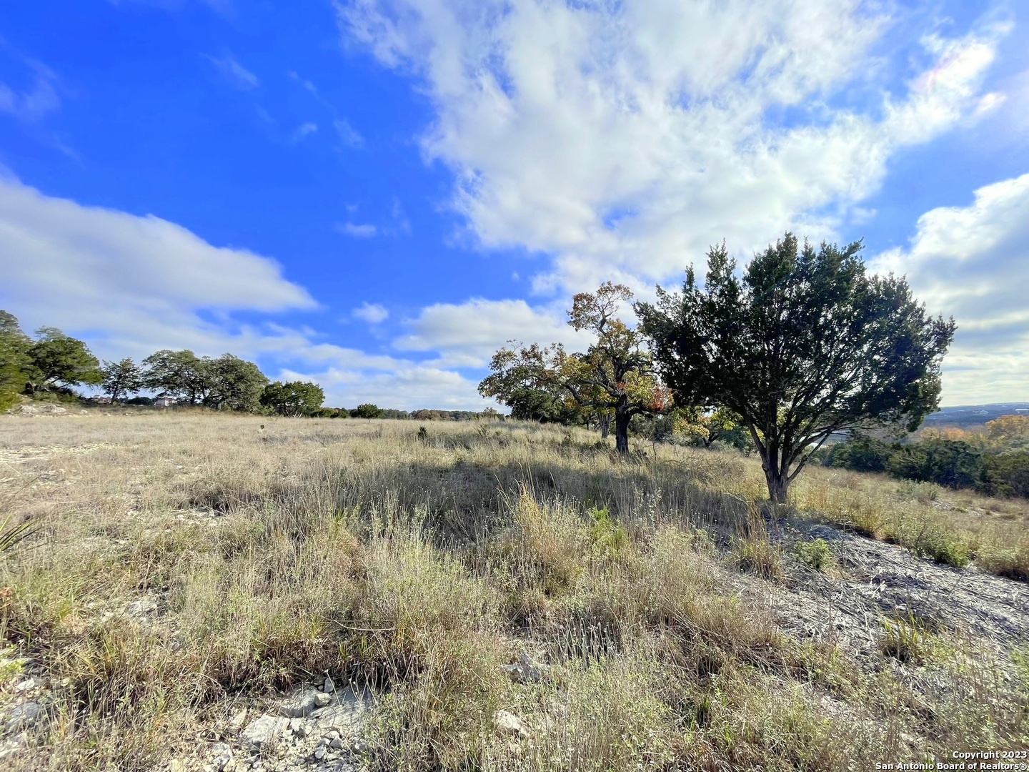 150 Riddle Spring Branch TX 78070