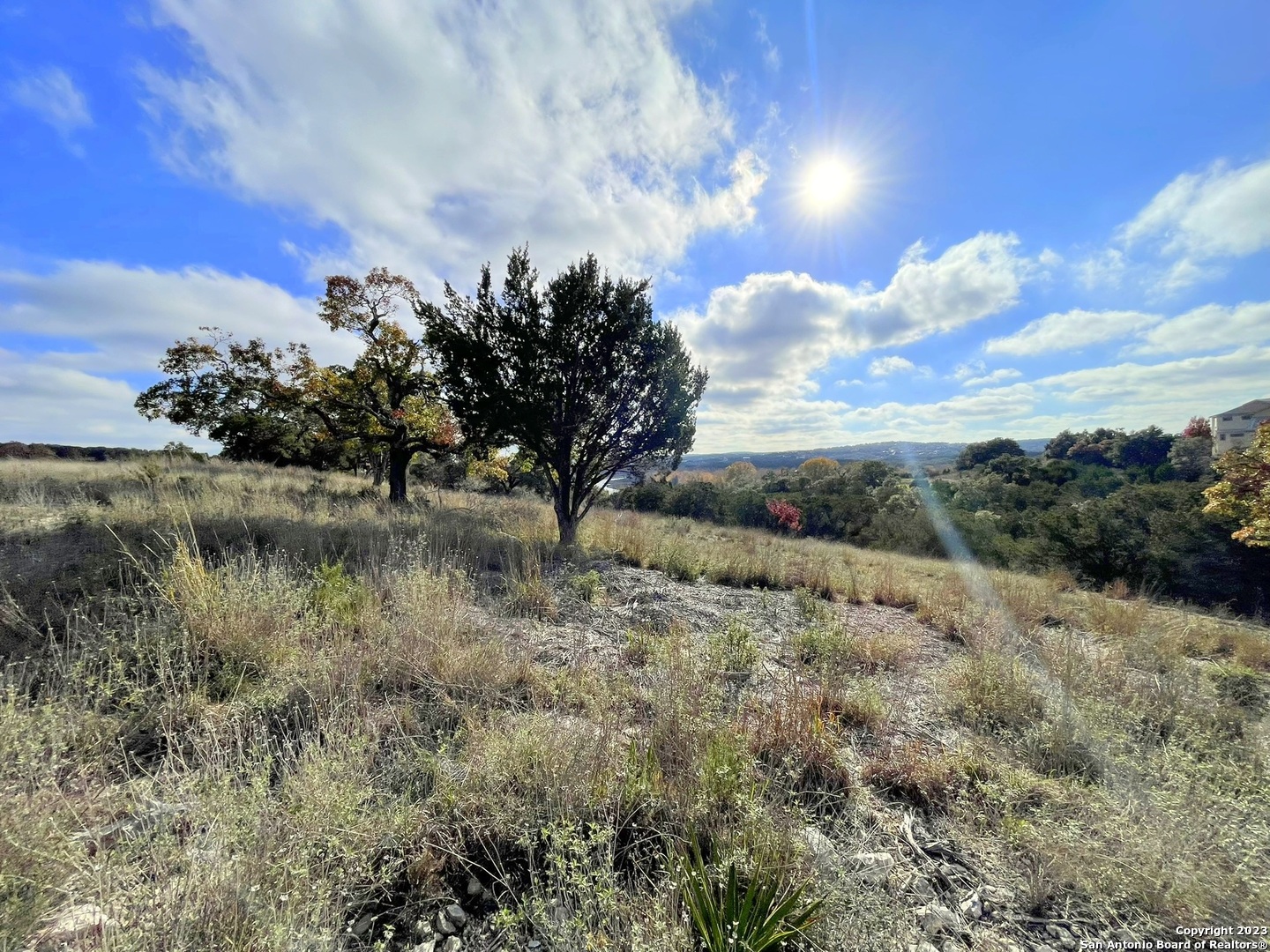 150 Riddle Spring Branch TX 78070