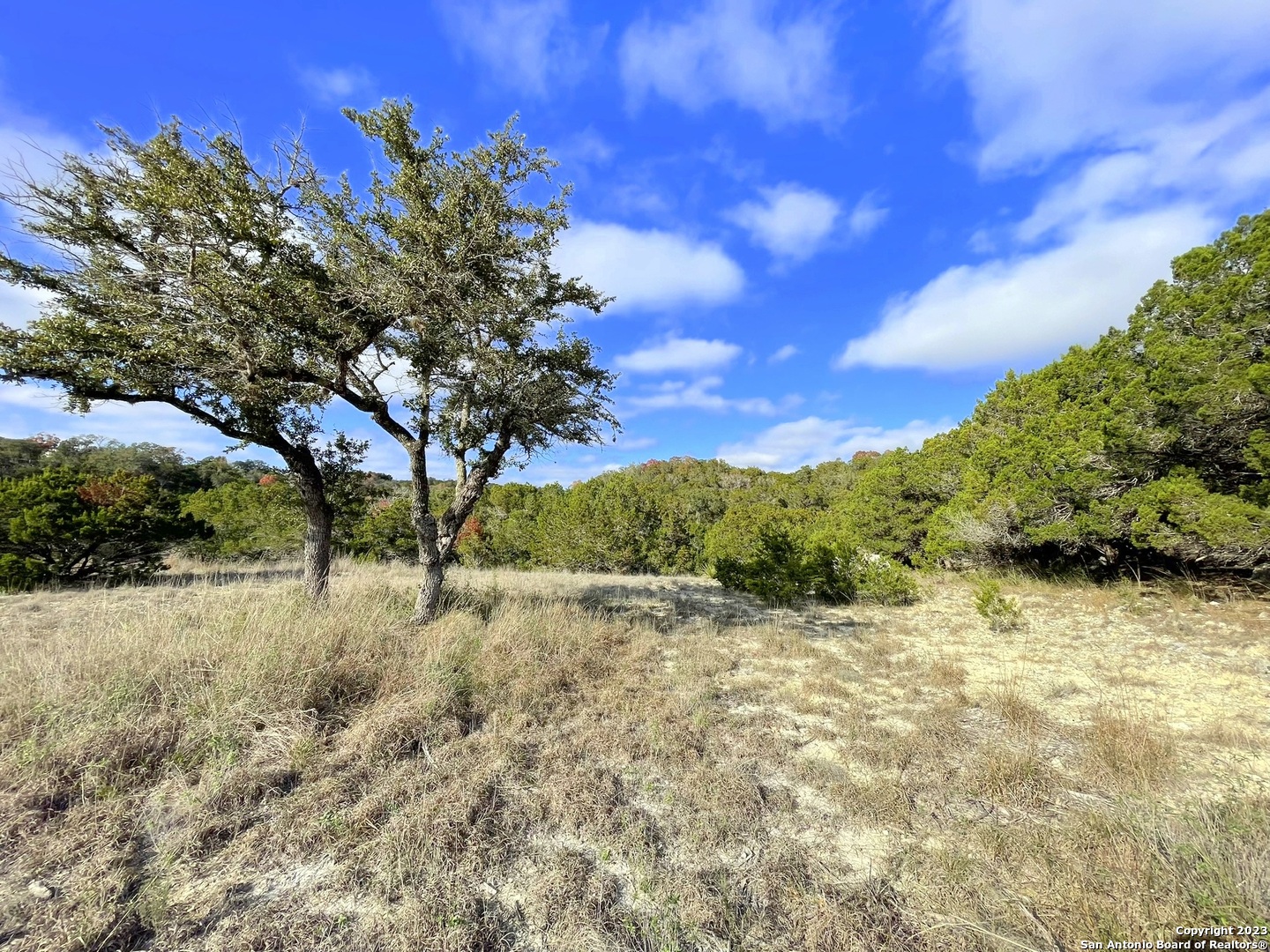 150 Riddle Spring Branch TX 78070
