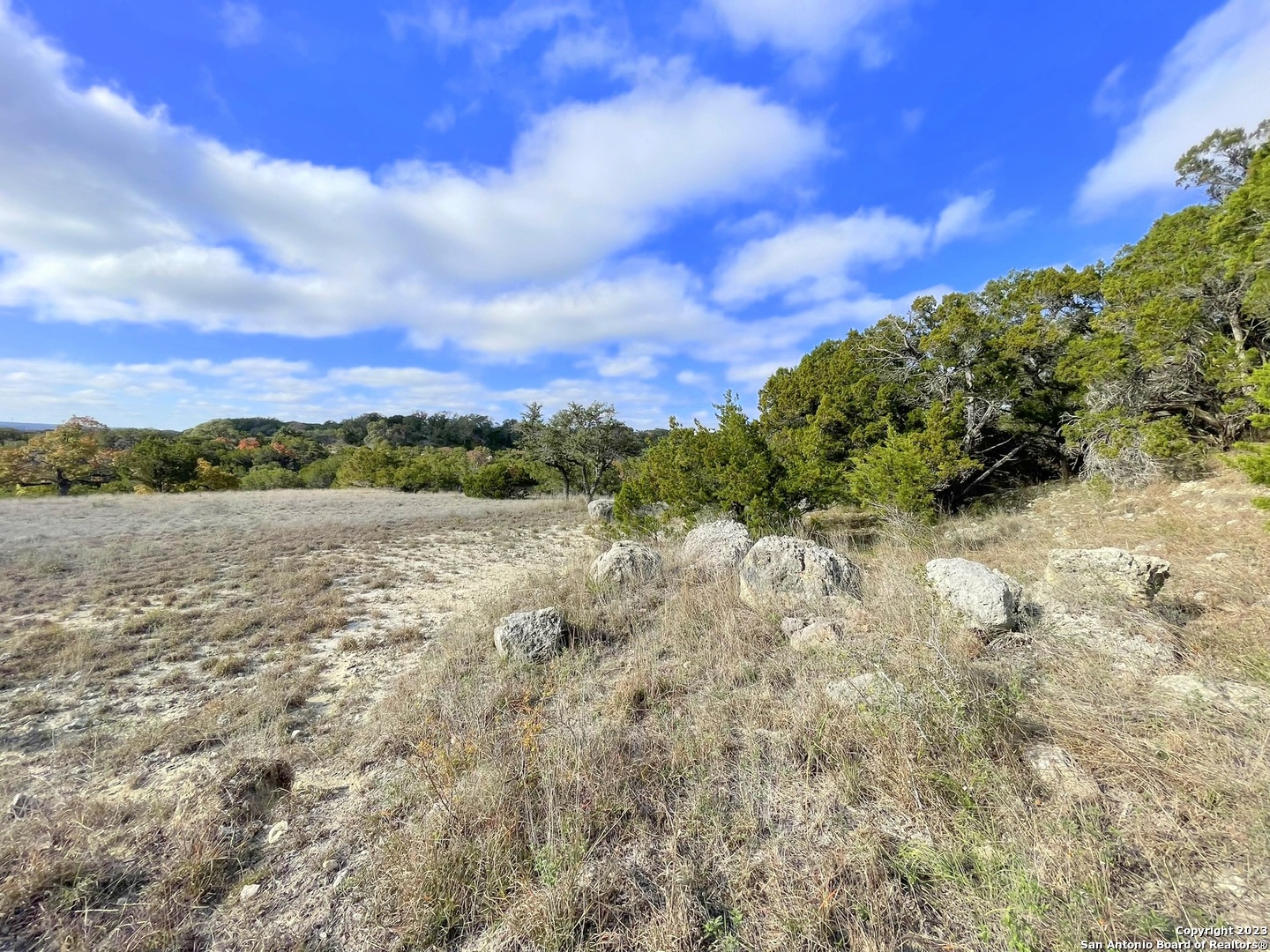 150 Riddle Spring Branch TX 78070