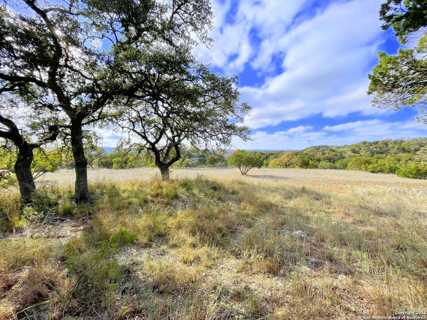 150 Riddle Spring Branch TX 78070