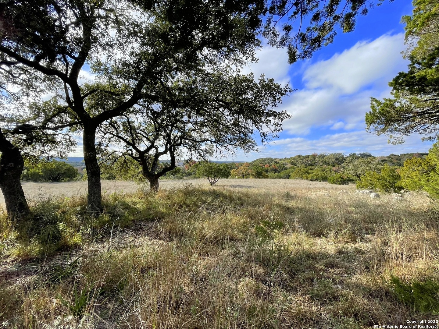 150 Riddle Spring Branch TX 78070