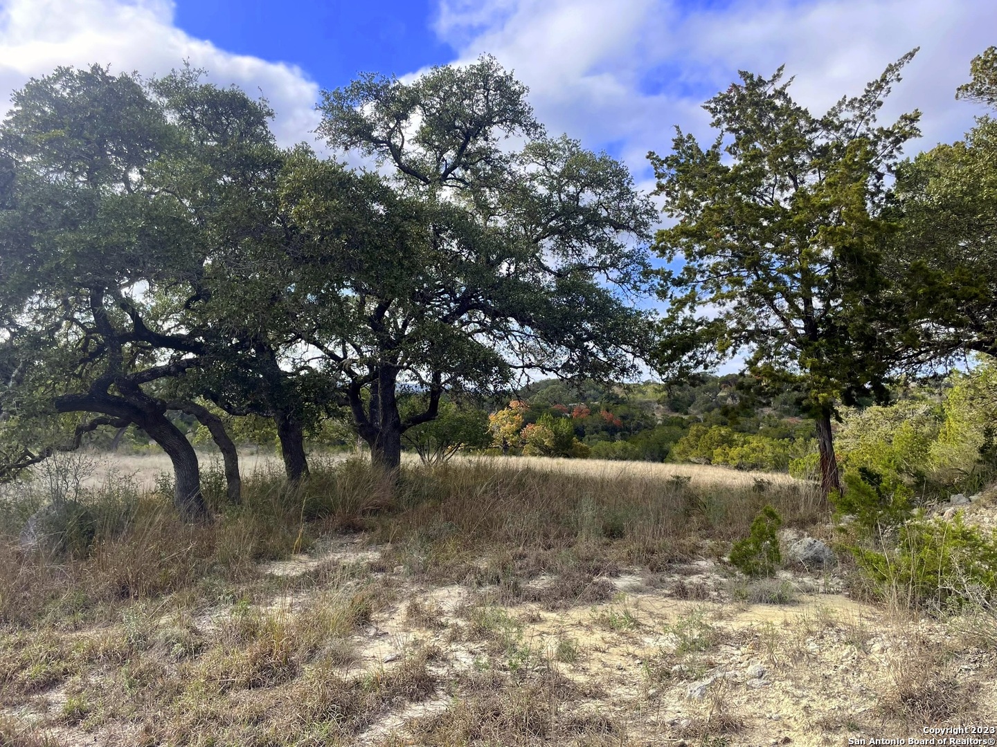 150 Riddle Spring Branch TX 78070
