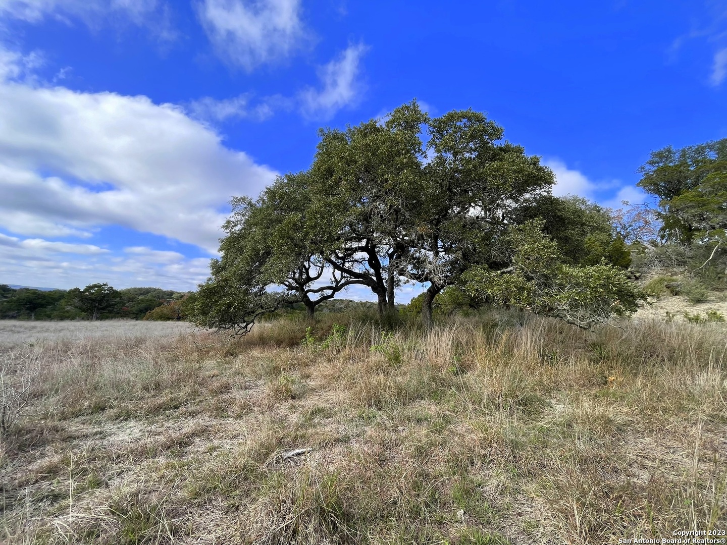 150 Riddle Spring Branch TX 78070