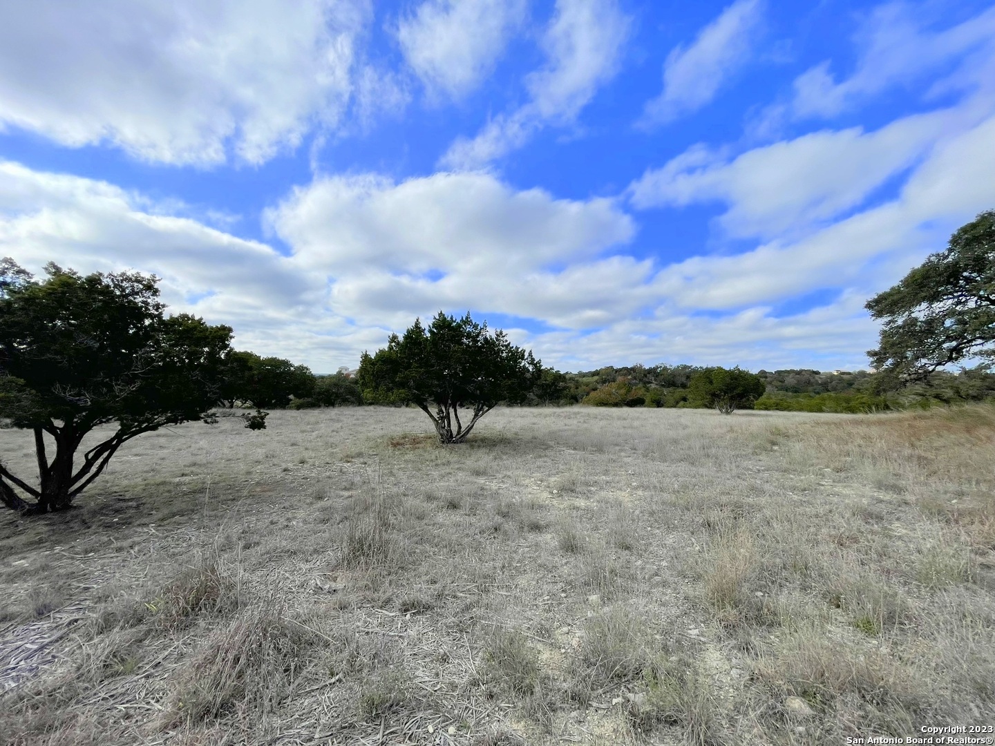 150 Riddle Spring Branch TX 78070
