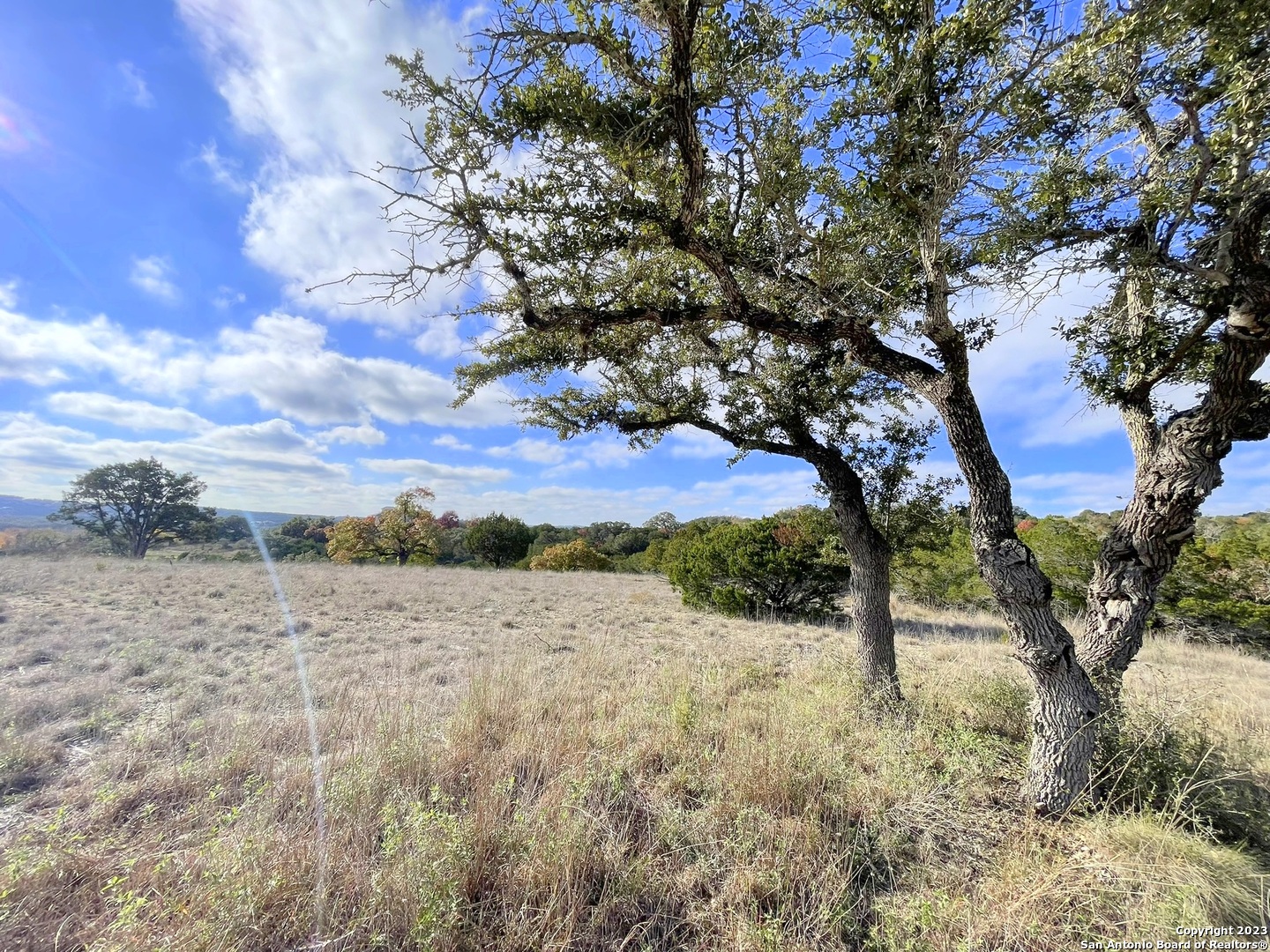 150 Riddle Spring Branch TX 78070
