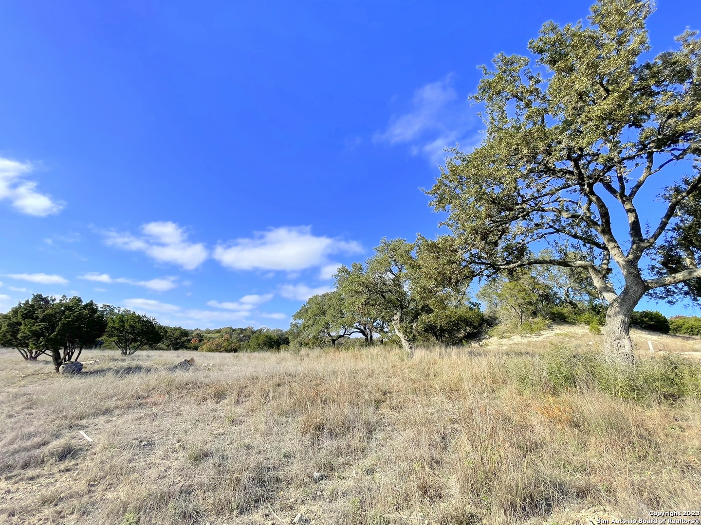 150 Riddle Spring Branch TX 78070