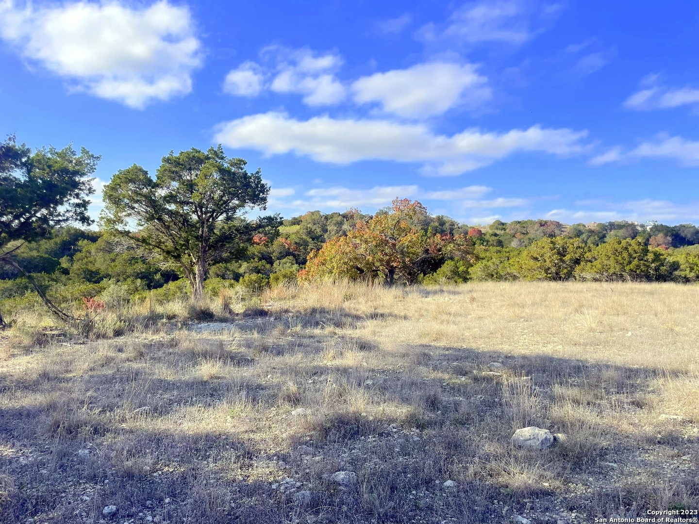 150 Riddle Spring Branch TX 78070