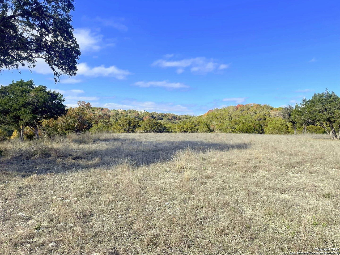 150 Riddle Spring Branch TX 78070