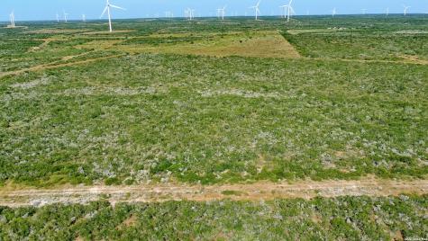 Tract 7 (50AC) San Pablo Road Bruni TX 78344