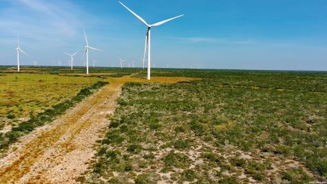 Tract 7 (50AC) San Pablo Road Bruni TX 78344
