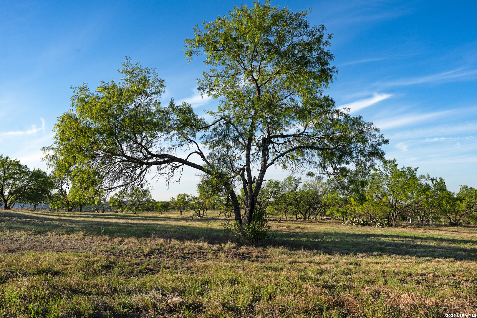 0015 Clearwater Comfort TX 78013