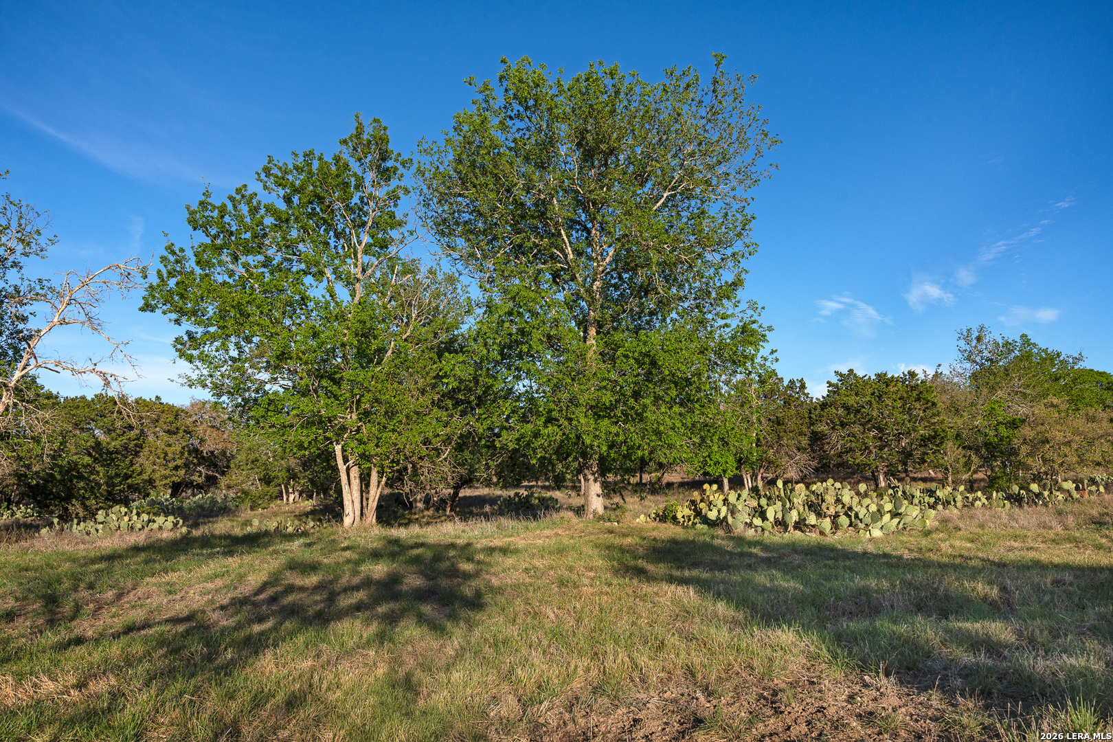 0015 Clearwater Comfort TX 78013
