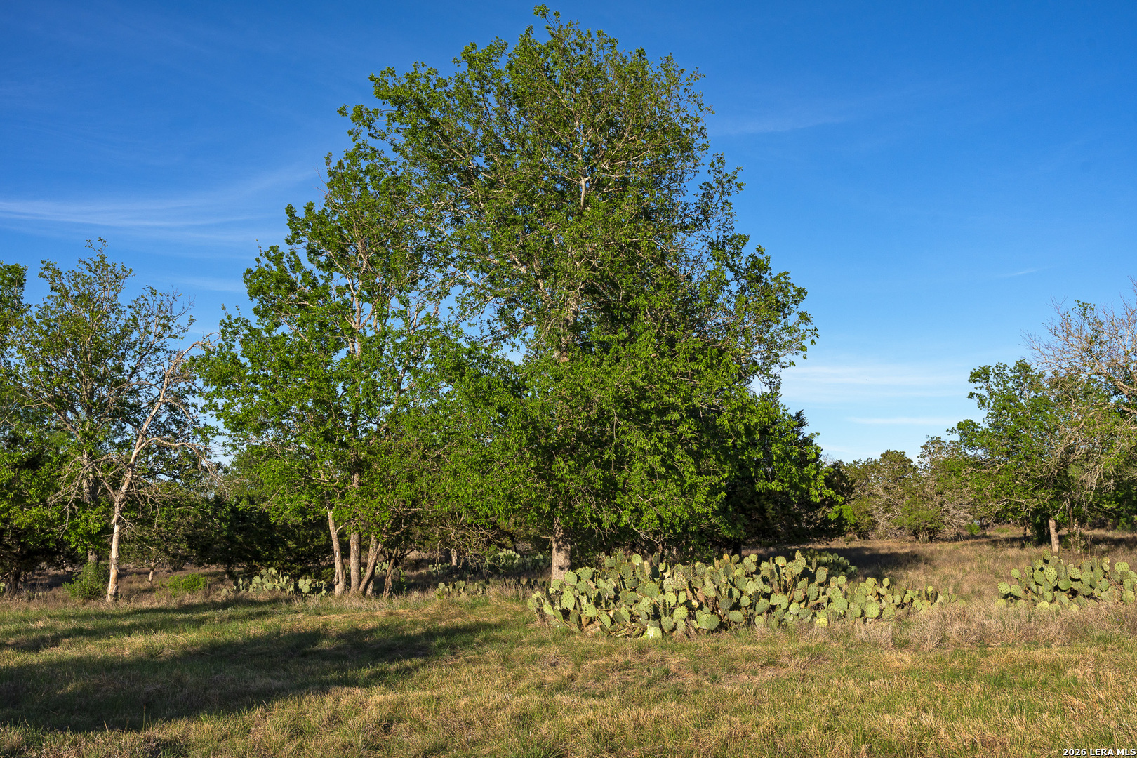 0015 Clearwater Comfort TX 78013